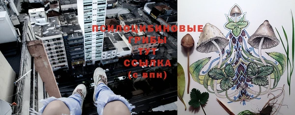 не бодяженный Карпинск