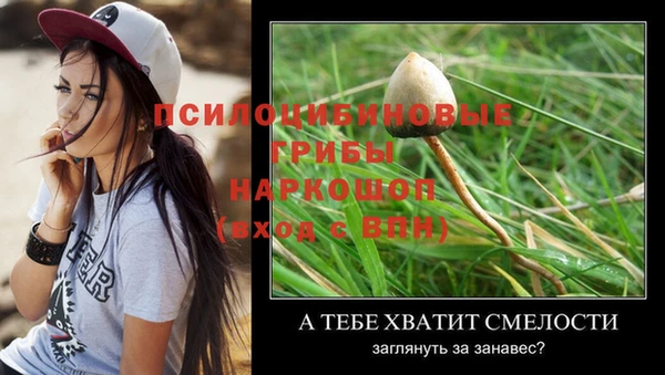 дурь Каменск-Шахтинский